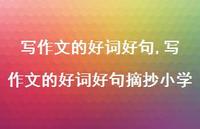写作文的好词好句摘抄小学【100句文案精选】