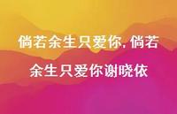 倘若余生只爱你谢晓依(100句)