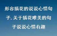 关于插花唯美的句子说说心情有趣(100句) 关于插花唯美的句子说说心情有趣(100句)