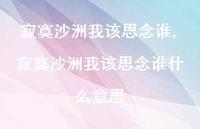 寂寞沙洲我该思念谁什么意思【100句文案精选】 寂寞沙洲我该思念谁什么意思【100句文案精选】