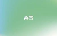 桑雪69句汇总