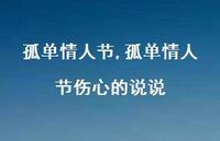 孤单情人节伤心的说说【精品文案100句】