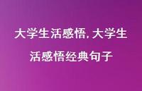 大学生活感悟经典句子【100句文案精选】