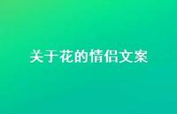 关于花的情侣文案【100句精选短句合集】