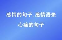 感情语录心痛的句子【精品文案100句】