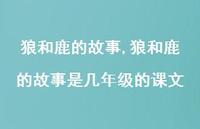狼和鹿的故事是几年级的课文【100句文案精选】 狼和鹿的故事是几年级的课文【100句文案精选】
