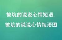 被坑的说说心情短语图(100句) 被坑的说说心情短语图(100句)