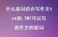 TNT可以写进作文的歌词(100句) TNT可以写进作文的歌词(100句)