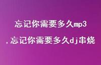 忘记你需要多久dj串烧(100句)