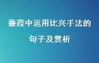 蒹葭中运用比兴手法的句子及赏析【100句精选短句合集】 蒹葭中运用比兴手法的句子及赏析【100句精选短句合集】