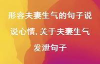 关于夫妻生气发泄句子【精选100句】