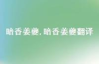 暗香姜夔翻译【精品文案100句】