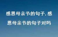 感恩母亲节的句子对吗【精品文案100句】