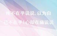 以为自己不在乎!心却在痛说说【100句文案】
