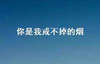 你是我戒不掉的烟49句汇总 你是我戒不掉的烟49句汇总