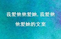 我爱他他爱她的文案(100句) 我爱他他爱她的文案(100句)