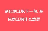 楚臣伤江枫什么意思【100句文案精选】 楚臣伤江枫什么意思【100句文案精选】