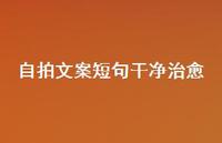 自拍文案短句干净治好【100句精选短句合集】