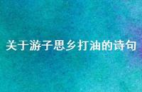 关于游子思乡打油的诗句(精选72句) 关于游子思乡打油的诗句(精选72句)