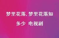 梦里花落知多少 电视剧【100句文案精选】 梦里花落知多少 电视剧【100句文案精选】