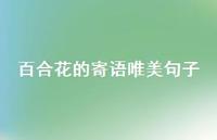 百合花的寄语唯美句子(精选36句)