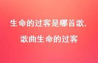 歌曲生命的过客【精选100句】