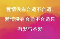 爱情没有合适不合适只有爱与不爱【100句文案】 爱情没有合适不合适只有爱与不爱【100句文案】