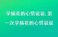 一次学插花的心情说说(100句)