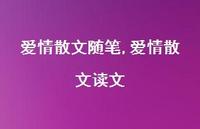 爱情散文读文【100句文案精选】