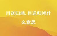 目送归鸿什么意思【100句文案精选】 目送归鸿什么意思【100句文案精选】