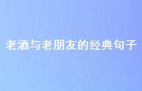 老酒与老朋友的经典句子【100句精选短句合集】