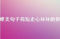 唯美句子简短走心坏坏的你56句汇总 唯美句子简短走心坏坏的你56句汇总
