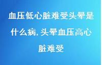 头晕血压高心脏难受(100句) 头晕血压高心脏难受(100句)