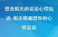 阳光明媚想你的心情说说(100句)
