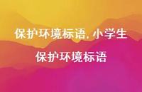 小学生保护环境标语【精品文案100句】
