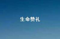 生命赞礼60句汇总 生命赞礼60句汇总
