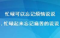 忙碌起来忘记痛苦的说说(100句) 忙碌起来忘记痛苦的说说(100句)