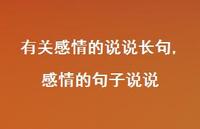 感情的句子说说【100句文案】 感情的句子说说【100句文案】