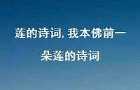 我本佛前一朵莲的诗词【100句文案精选】 我本佛前一朵莲的诗词【100句文案精选】
