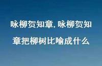 咏柳贺知章把柳树比喻成什么【100句文案精选】