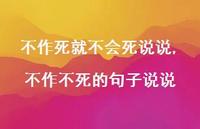 不作不死的句子说说【100句文案】 不作不死的句子说说【100句文案】