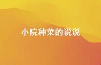 小院种菜的说说【100句精选短句合集】