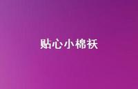 贴心小棉袄55句汇总 贴心小棉袄55句汇总