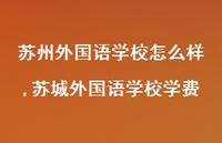 苏城外国语学校学费【100句文案精选】