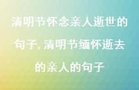 清明节缅怀逝去的亲人的句子【精品文案100句】
