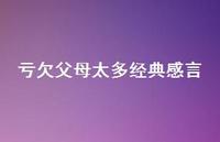 亏欠父母太多经典感言(精选37句) 亏欠父母太多经典感言(精选37句)