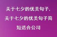关于七夕的优美句子简短适合公司【精品文案100句】