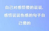 感情说说伤感的句子自己傻的(100句)