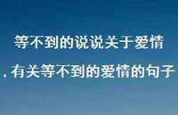 有关等不到的爱情的句子【100句文案】 有关等不到的爱情的句子【100句文案】