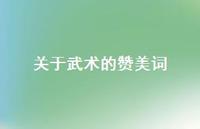 关于武术的赞美词(精选36句) 关于武术的赞美词(精选36句)
